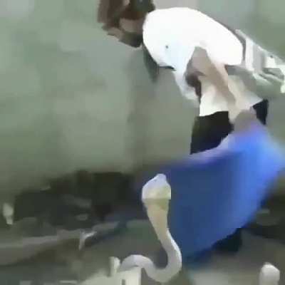 Serpiente cachetada!