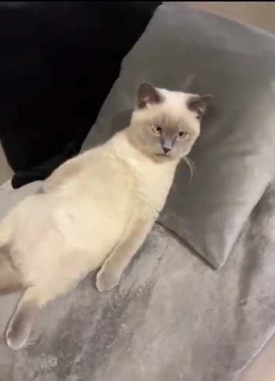 He just needs to rest a bit