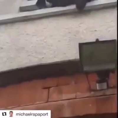 blink mother fucker