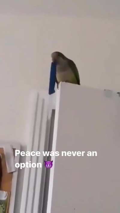 YOU DIED