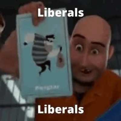 Libtards