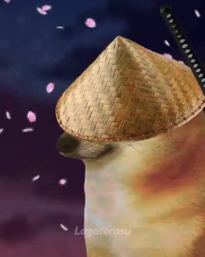 silence wedge