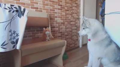Cute Repeating Talking Plush Hamster