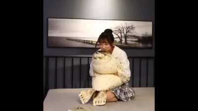 I wish we had a Nene's Plushie