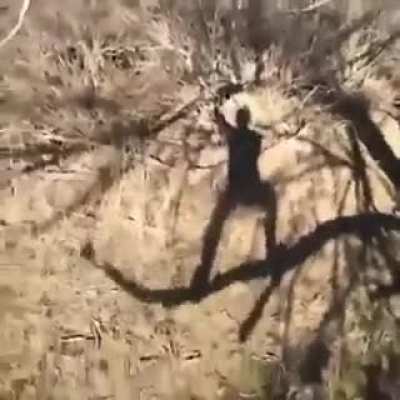 Almost perfect
