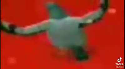 Blursed_pegion