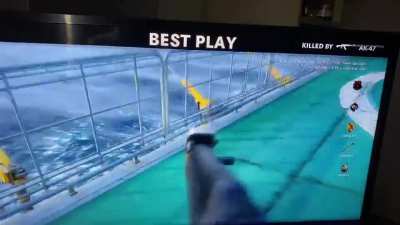 This dude has such a good aim after 3 days