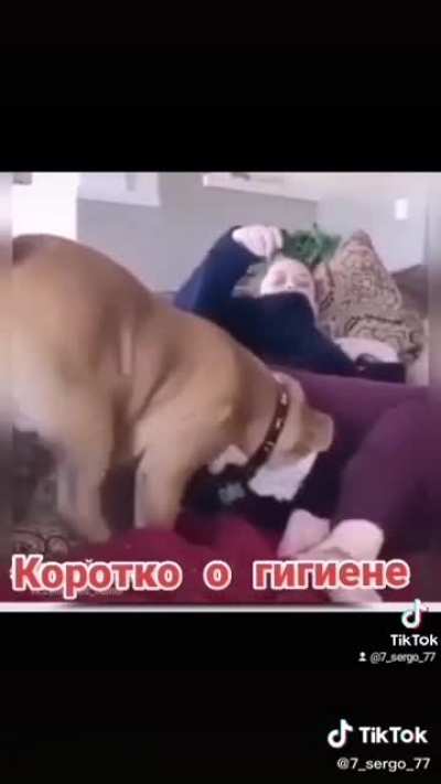 Сюрстрёмминг