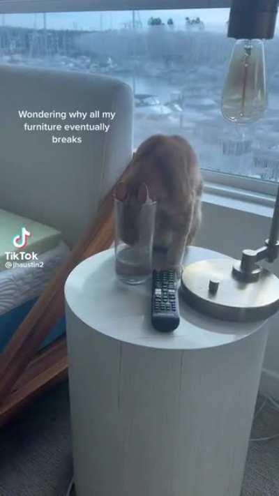 Not mine but thought this sub would enjoy 😉