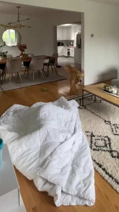 Hide and seek