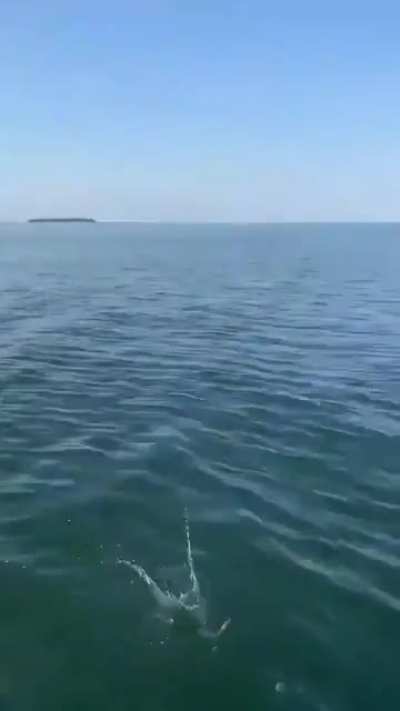 Why?!