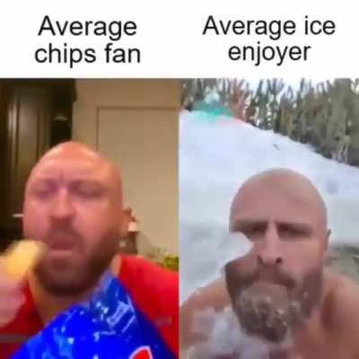 Average shitposter