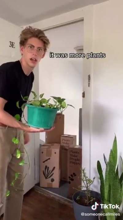 More plants