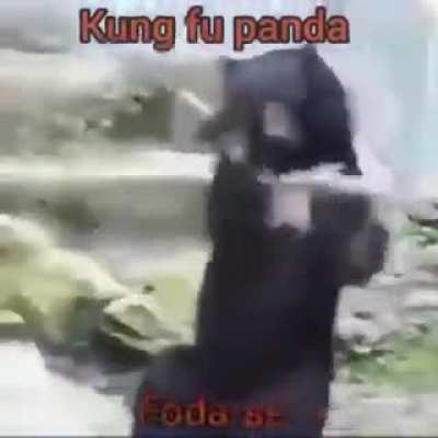 Ja viram o novo filme do kung fu panda?🤨