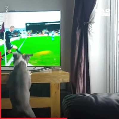 Where did it go?