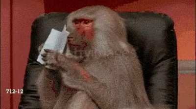 Taking in all the good news this week so far