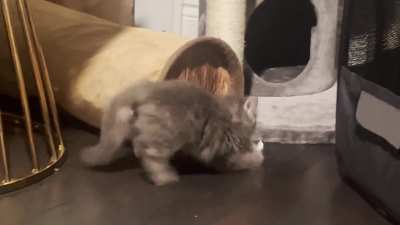 The greebles aren’t taking his mouse