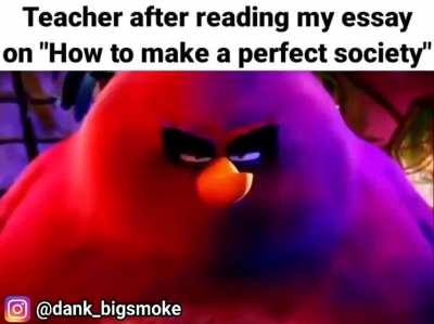 A perfect society