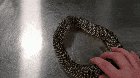 Mistakes were made