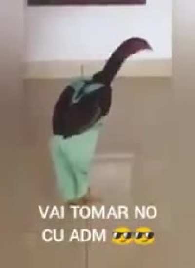 Vai se fode Administração 😎😎😎