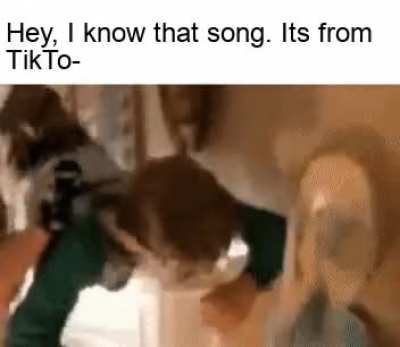 yeet em all for good