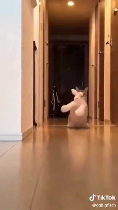 That's my toy