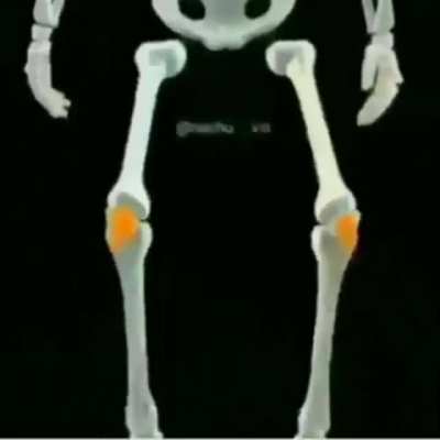 Webadas - Video #2157
