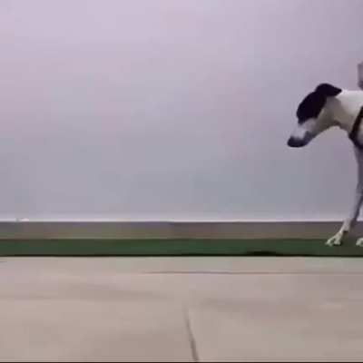 Реабилитация