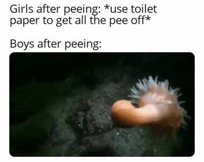 P E N I S