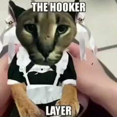 floppa