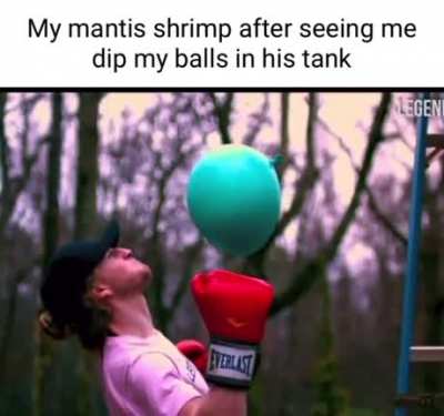 Punch