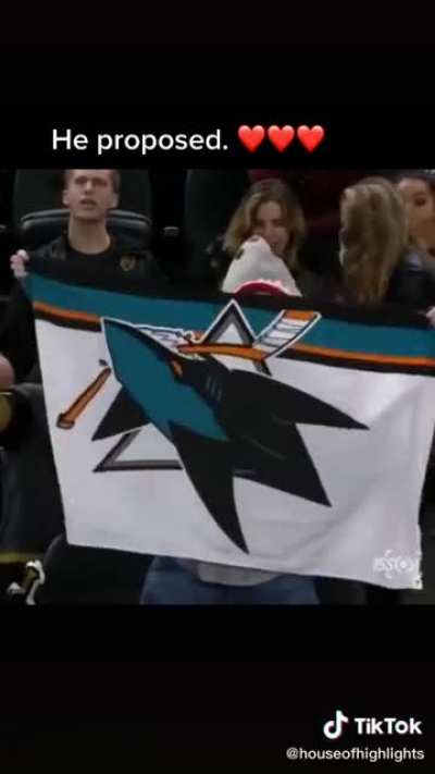 I would put that shark on land and leave it there.
