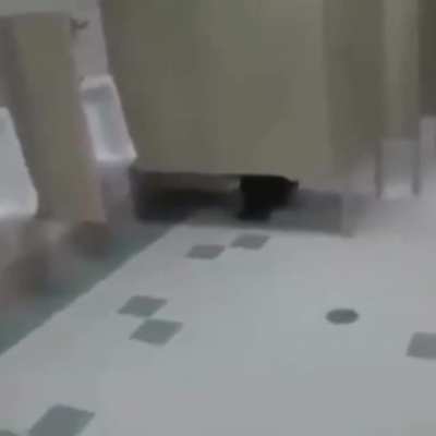 He dead