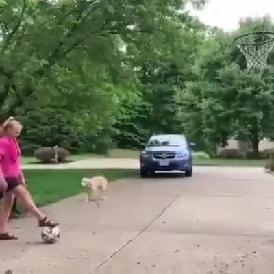 What did I just watch ?