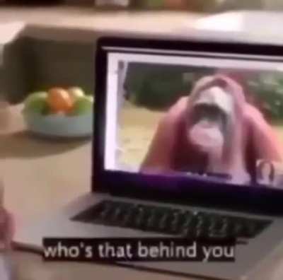 monke
