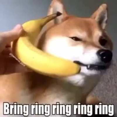 Banana phone!