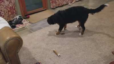 I'm gonna get those treats out!