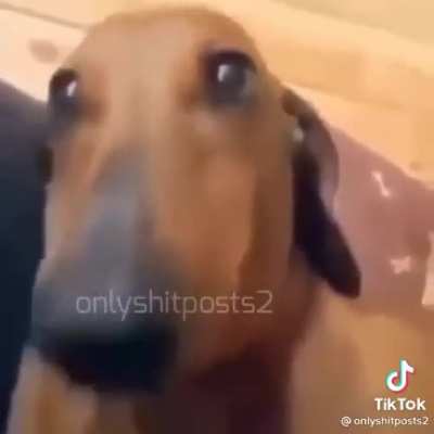 Yes