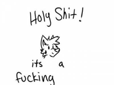 furry👀irl
