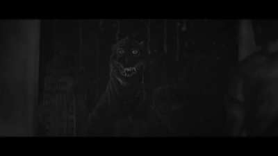 A shot of a horror Godzilla animation thingie I've been working on