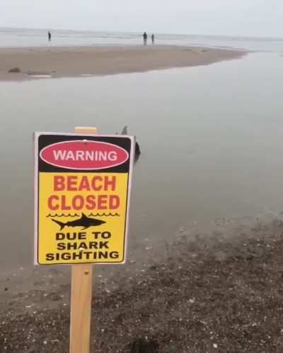 They had me for a second.