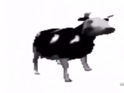 esta vaca con cualquier canción es buena