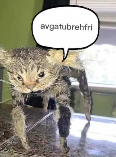 qiunn