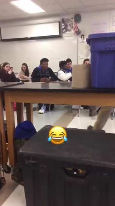 Esse amou a aula