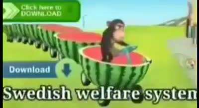 🐵