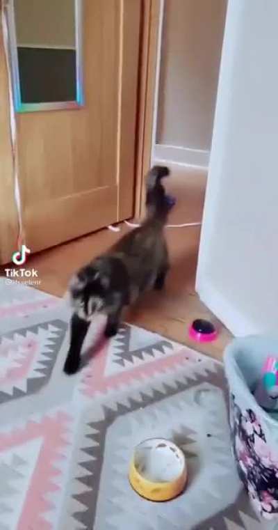 Chaotic