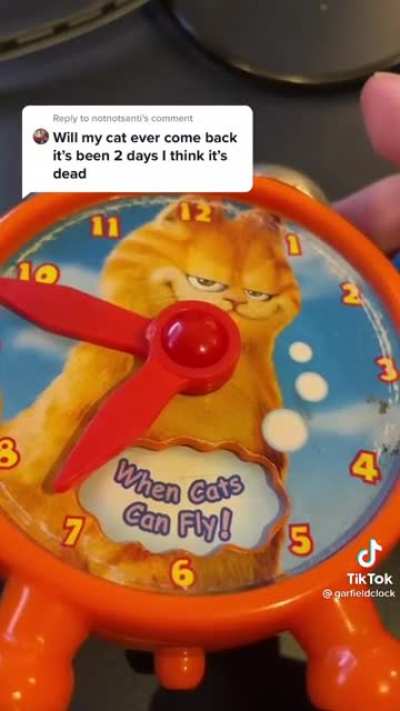 When Cats Can Fly!