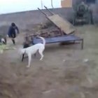Do not interference in a dogfight.