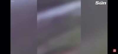 Man Kicks Bear, Almost Becomes Lunch