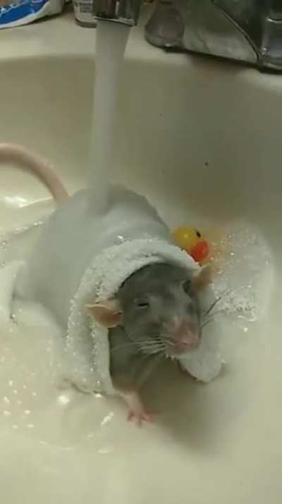 Bathtime bliss complete with rubber ducky